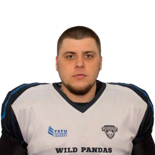 Фото игрока