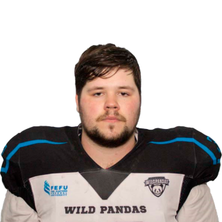 Фото игрока