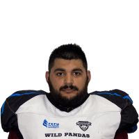 Агаев Тагир Адил оглы