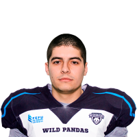 Котов Юрий Леонидович