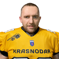 Нестеренко Анатолий Сергеевич