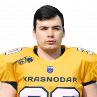 Южилкин Кирилл Николаевич
