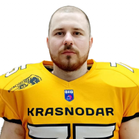 Дмитриев Александр Михайлович