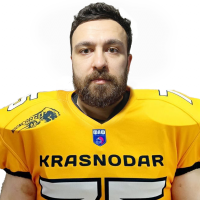 Бородин Дмитрий Александрович