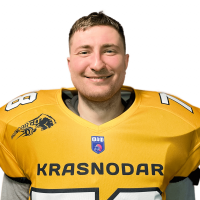 Гаман Михаил Владимирович