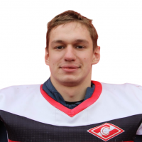 Жарков Владислав Владимирович