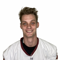 Сорокин Александр Дмитриевич