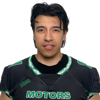 Фото игрока