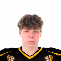 Лебедев Владимир Владиславович