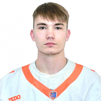 Градусов Даниил Артемович