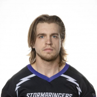 Страусс Владимир Дмитриевич