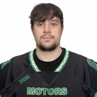 Поручиков Владимир Дмитриевич