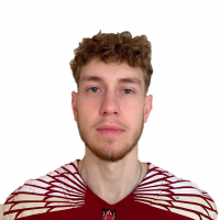 Мандрик Илья Анатольевич