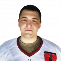 Каремин Никита Владимирович