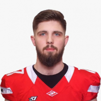 Чекрыжов Дмитрий Станиславович