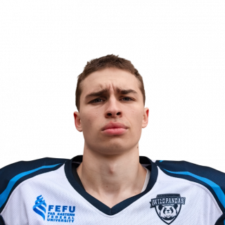 Фото игрока