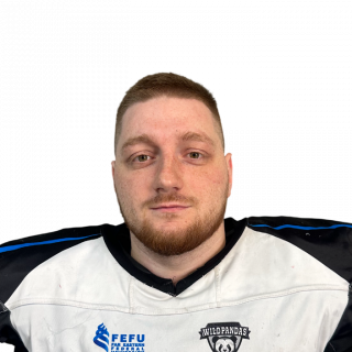 Фото игрока