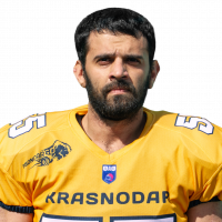 Симонян Роман Георгиевич