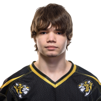 Чекменев Андрей Владимирович