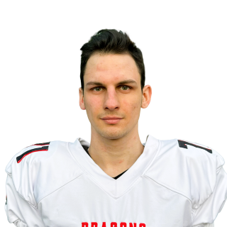 Фото игрока