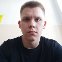 Никитин Лев Дмитриевич