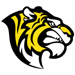 Стальные Тигры