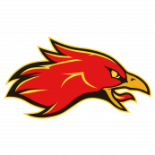 Логотип команды