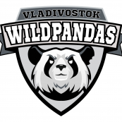 Логотип команды