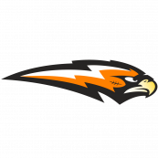 Янтарные Ястребы