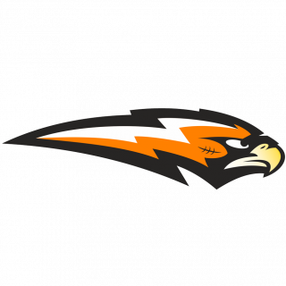 Янтарные Ястребы