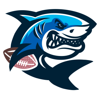 Кэпитал Шаркс